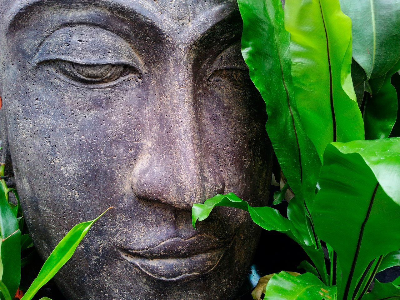 Buddha | Yoga me Chiemsee in Prien | Yoga Kurse & Yoga Therapie